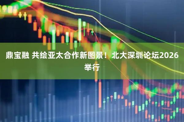 鼎宝融 共绘亚太合作新图景！北大深圳论坛2026举行