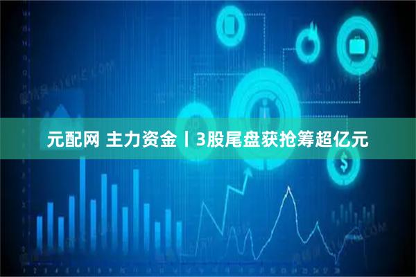元配网 主力资金丨3股尾盘获抢筹超亿元