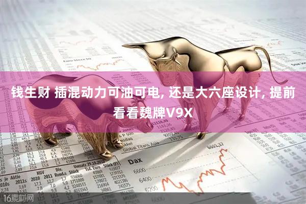 钱生财 插混动力可油可电, 还是大六座设计, 提前看看魏牌V9X